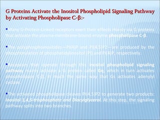 G Proteins Activate the Inositol Phospholipid Signaling Pathway by Activating Phospholipase C-β:- Many G-Protein-Linked receptors exert their effects mainly via G proteins that activate the plasma-membrane-bound enzyme  phospholipase C-β . The polyphosphoinositides—PI(4)P and PI(4,5)P2—are produced by the phosphorylation of phosphatidylinositol (PI) and PI(4)P, respectively.  Receptors that operate through this  inositol phospholipid signaling pathway  mainly activate a G protein called  Gq , which in turn activates phospholipase C-β, in much the same way that Gs activates adenylyl cyclase.  The activated phospholipase cleaves PI(4,5)P2 to generate two products:  Inositol 1,4,5-trisphosphate and Diacylglycerol . At this step, the signaling pathway splits into two branches. 