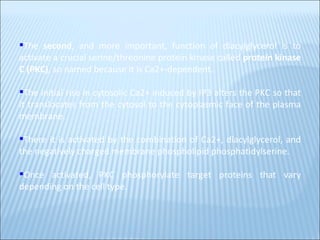 The  second , and more important, function of diacylglycerol is to activate a crucial serine/threonine protein kinase called  protein kinase C (PKC) , so named because it is Ca2+-dependent .  The initial rise in cytosolic Ca2+ induced by IP3 alters the PKC so that it translocates from the cytosol to the cytoplasmic face of the plasma membrane. There it is activated by the combination of Ca2+, diacylglycerol, and the negatively charged membrane phospholipid phosphatidylserine.  Once activated, PKC phosphorylate target proteins that vary depending on the cell type. 