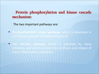 Protein phosphorylation and kinase cascade mechanism: The two important pathways are: The Ras/Raf/MAP kinase pathway , which is important in cell division, growth and differentiation & The Jak/Stat pathway , which is activated by many cytokines and which controls the synthesis and release of many inflammatory mediators. 