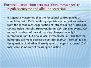 Extracellular calcium acts as a "third messenger" to regulate enzyme and alkaline secretion  It is generally assumed that the functional consequences of   stimulation with Ca 2+ -mobilizing agonists are derived exclusively   from the second messenger action of intracellular Ca 2+ , acting   on targets inside the cells. However, during Ca 2+  signaling   events, Ca 2+  moves in and out of the cell, causing changes not   only in intracellular Ca 2+ , but also in local extracellular   Ca 2+ . The fact that numerous cell types possess an extracellular   Ca 2+  "sensor" raises the question of whether these dynamic changes   in external [Ca 2+ ] may serve some sort of messenger function.   