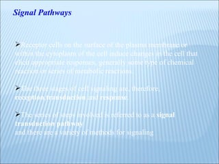 Signal Pathways Receptor cells on the surface of the plasma membrane or within the cytoplasm of the cell induce changes in the cell that elicit appropriate responses, generally some type of chemical reaction or series of metabolic reactions.  The three stages of cell signaling are, therefore,  reception , transduction  and  response . The series of steps involved is referred to as a  signal transduction pathway and there are a variety of methods for signaling  