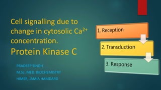 Cell signalling due to
change in cytosolic Ca2+
concentration.
Protein Kinase C
PRADEEP SINGH
M.Sc. MED. BIOCHEMISTRY
HIMSR, JAMIA HAMDARD
 