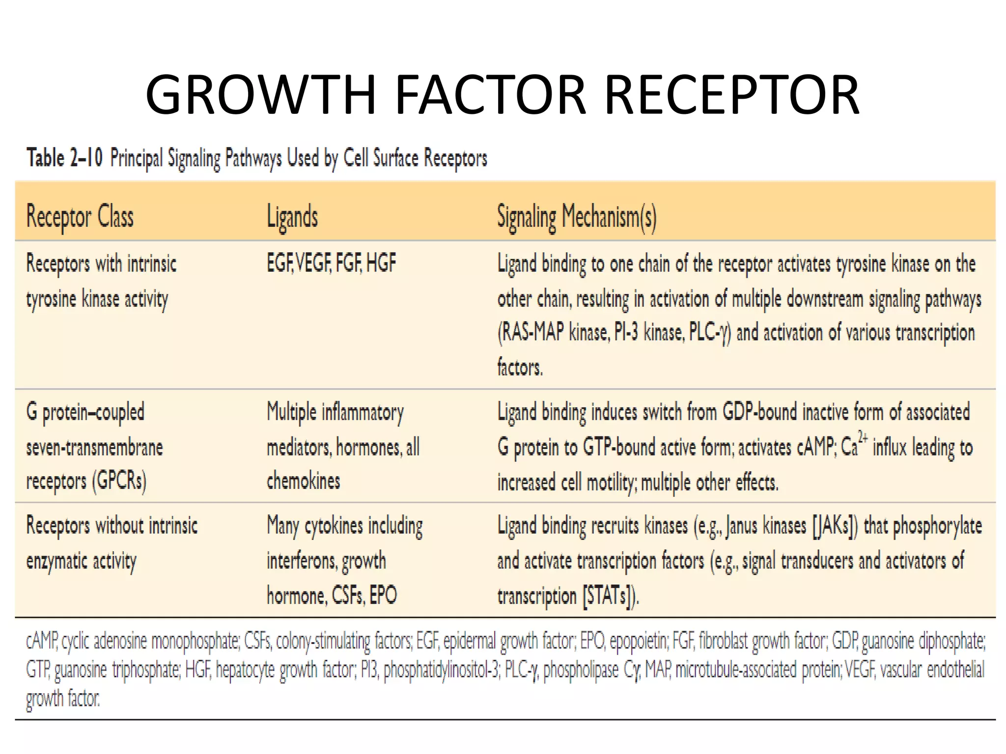 Signal transduction proteins and pathways in oncogenesis | PPTX