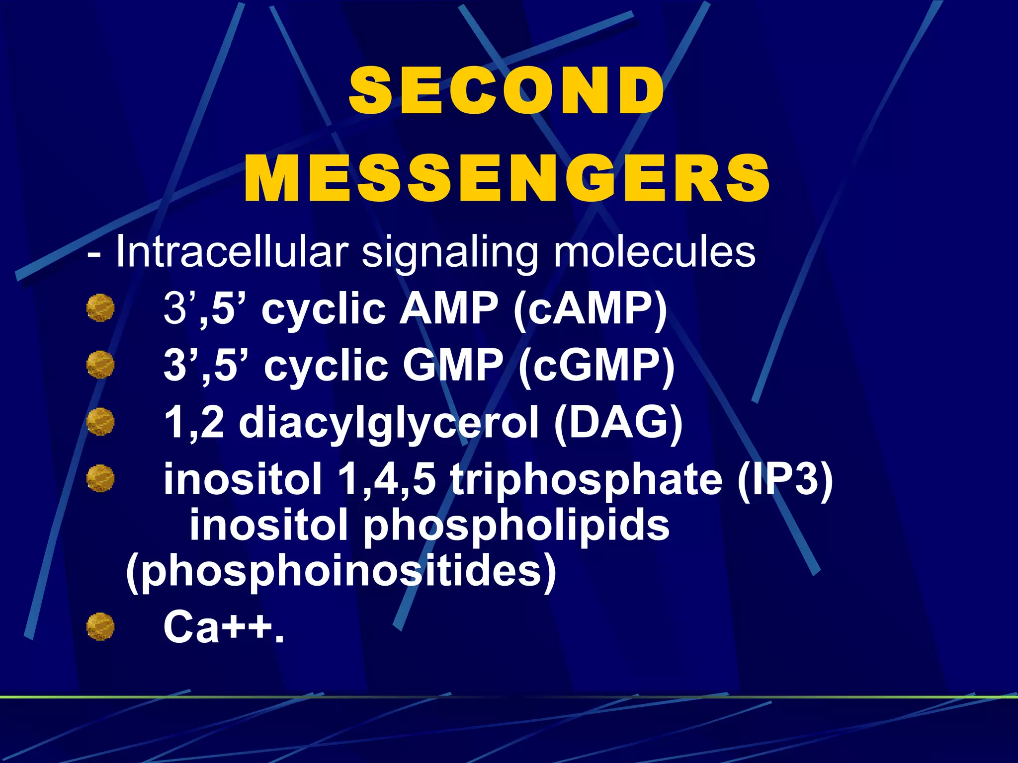 SECOND MESSENGERS - Intracellular signaling molecules  3’ ,5’ cyclic AMP (cAMP)  3’,5’ cyclic GMP (cGMP)  1,2 diacylglycerol (DAG)  inositol 1,4,5 triphosphate (IP3)  inositol phospholipids  (phosphoinositides) Ca++.   