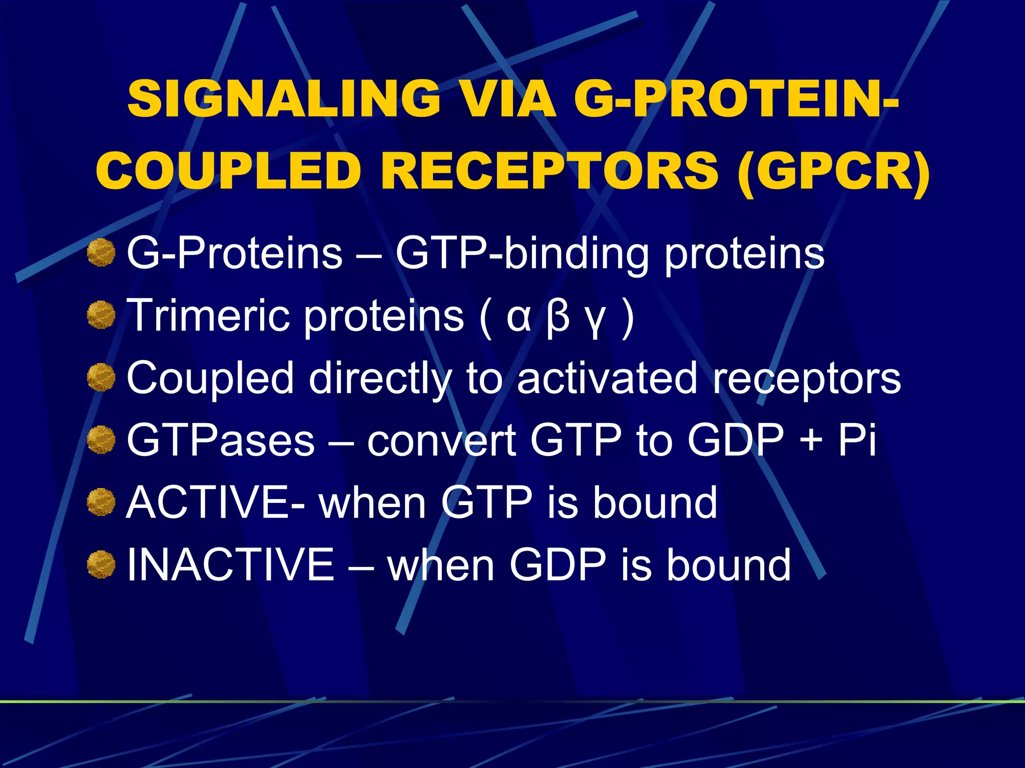SIGNALING VIA G-PROTEIN-COUPLED RECEPTORS (GPCR) G-Proteins – GTP-binding proteins Trimeric proteins (  α β γ ) Coupled directly to activated receptors GTPases – convert GTP to GDP + Pi ACTIVE- when GTP is bound INACTIVE – when GDP is bound 