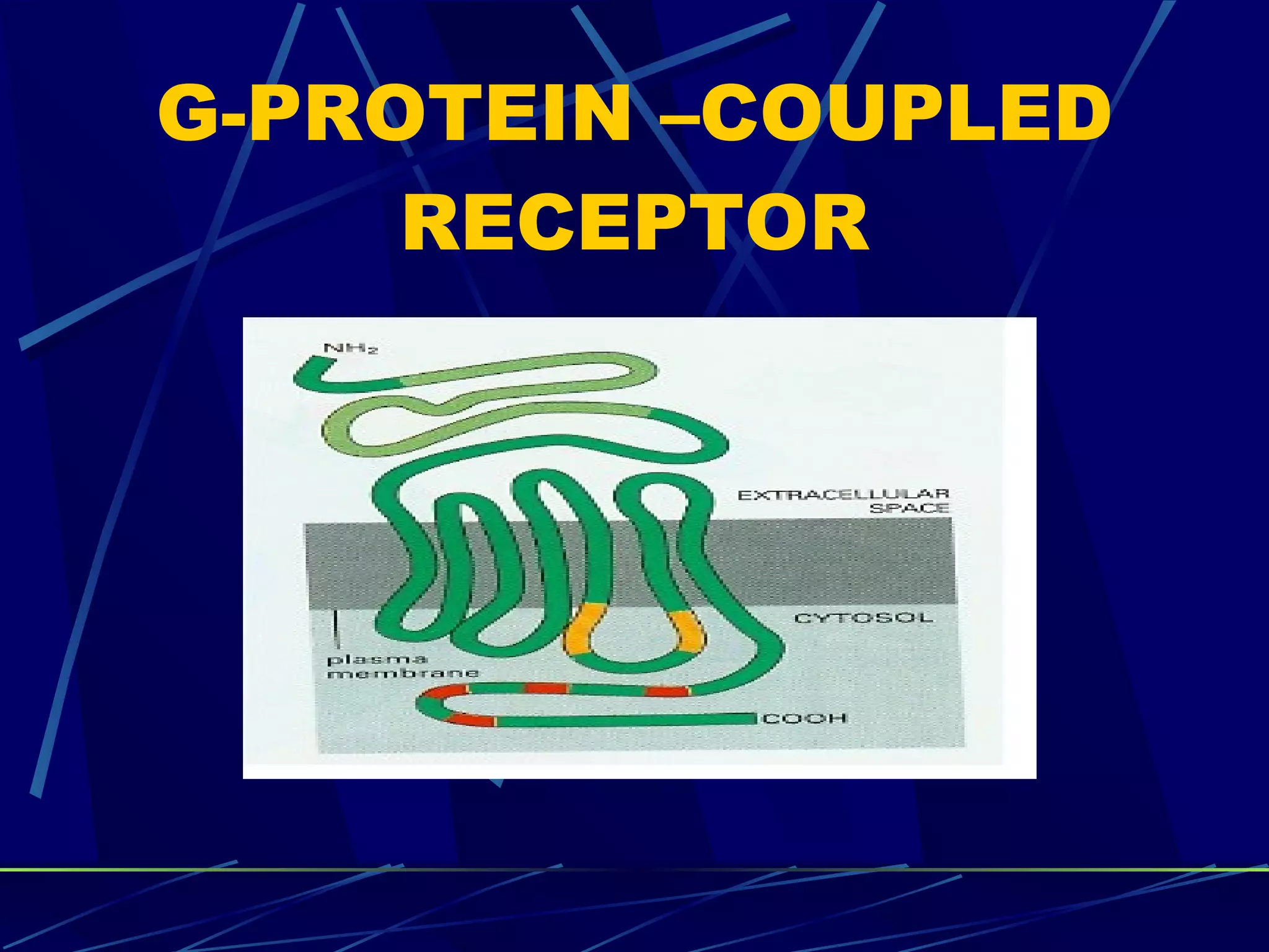 G-PROTEIN –COUPLED RECEPTOR 