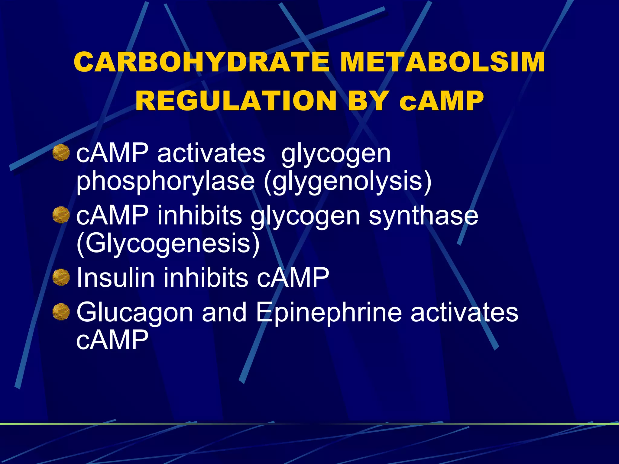 CARBOHYDRATE METABOLSIM REGULATION BY cAMP cAMP activates  glycogen phosphorylase (glygenolysis) cAMP inhibits glycogen synthase (Glycogenesis) Insulin inhibits cAMP Glucagon and Epinephrine activates cAMP 