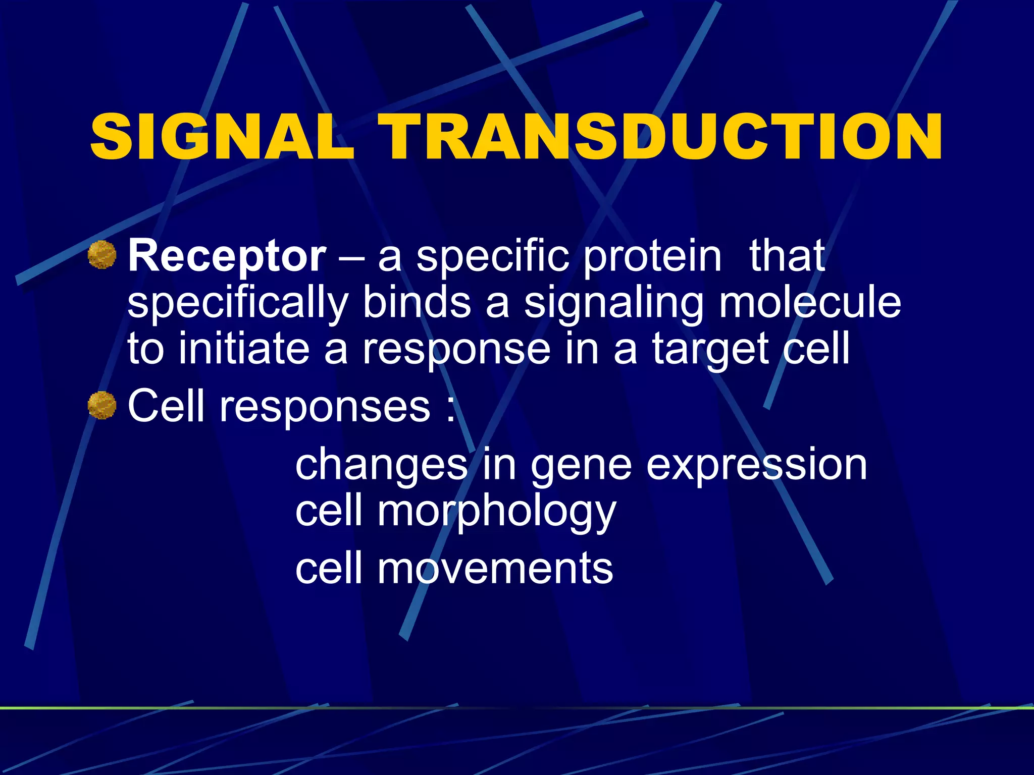 SIGNAL TRANSDUCTION Receptor  – a specific protein  that specifically binds a signaling molecule to initiate a response in a target cell Cell responses : changes in gene expression cell morphology cell movements  
