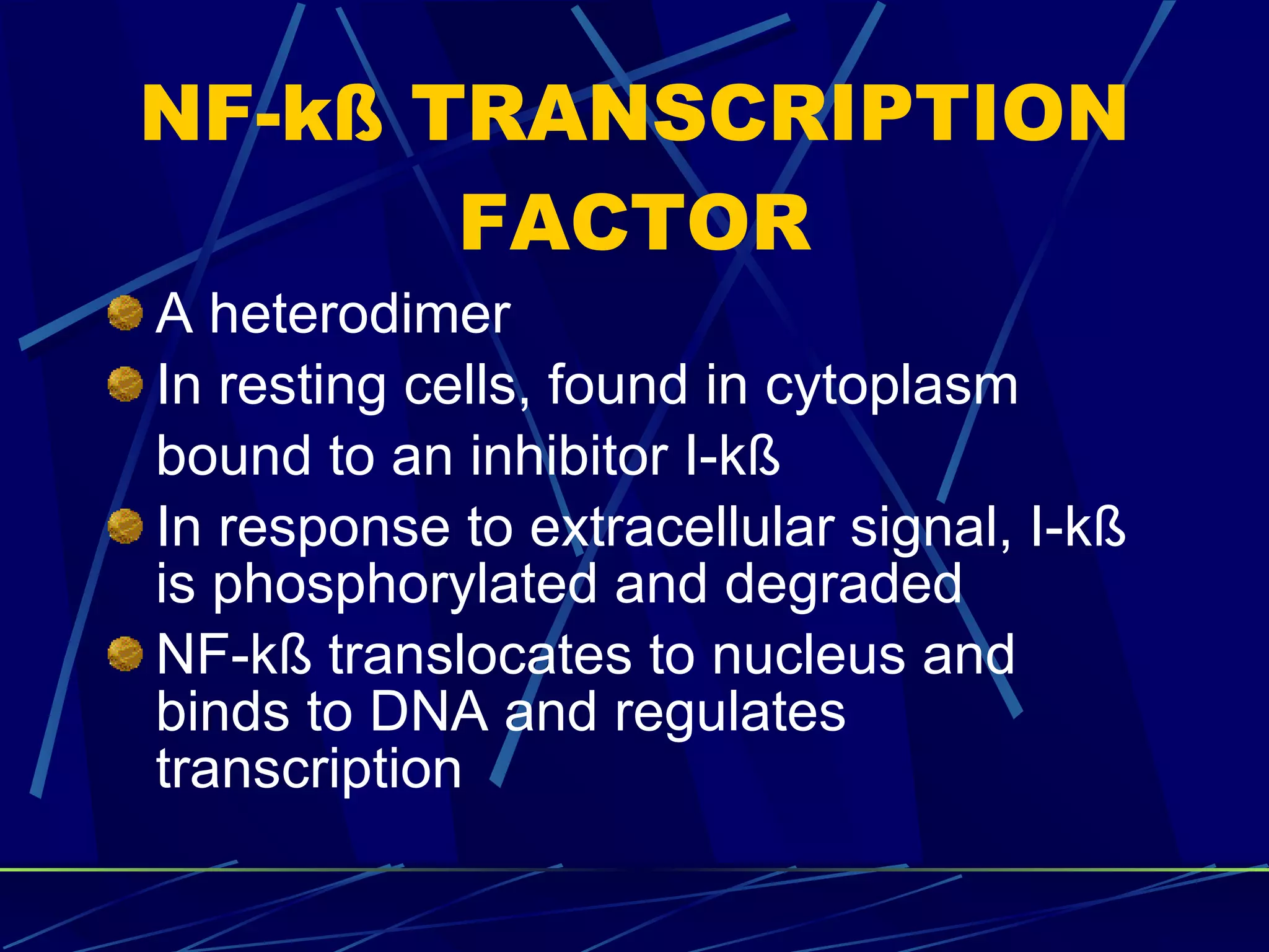 NF-kß TRANSCRIPTION FACTOR A heterodimer In resting cells, found in cytoplasm bound to an inhibitor I- kß In response to extracellular signal, I- kß is phosphorylated and degraded NF- kß  translocates to nucleus and binds to DNA and regulates transcription 