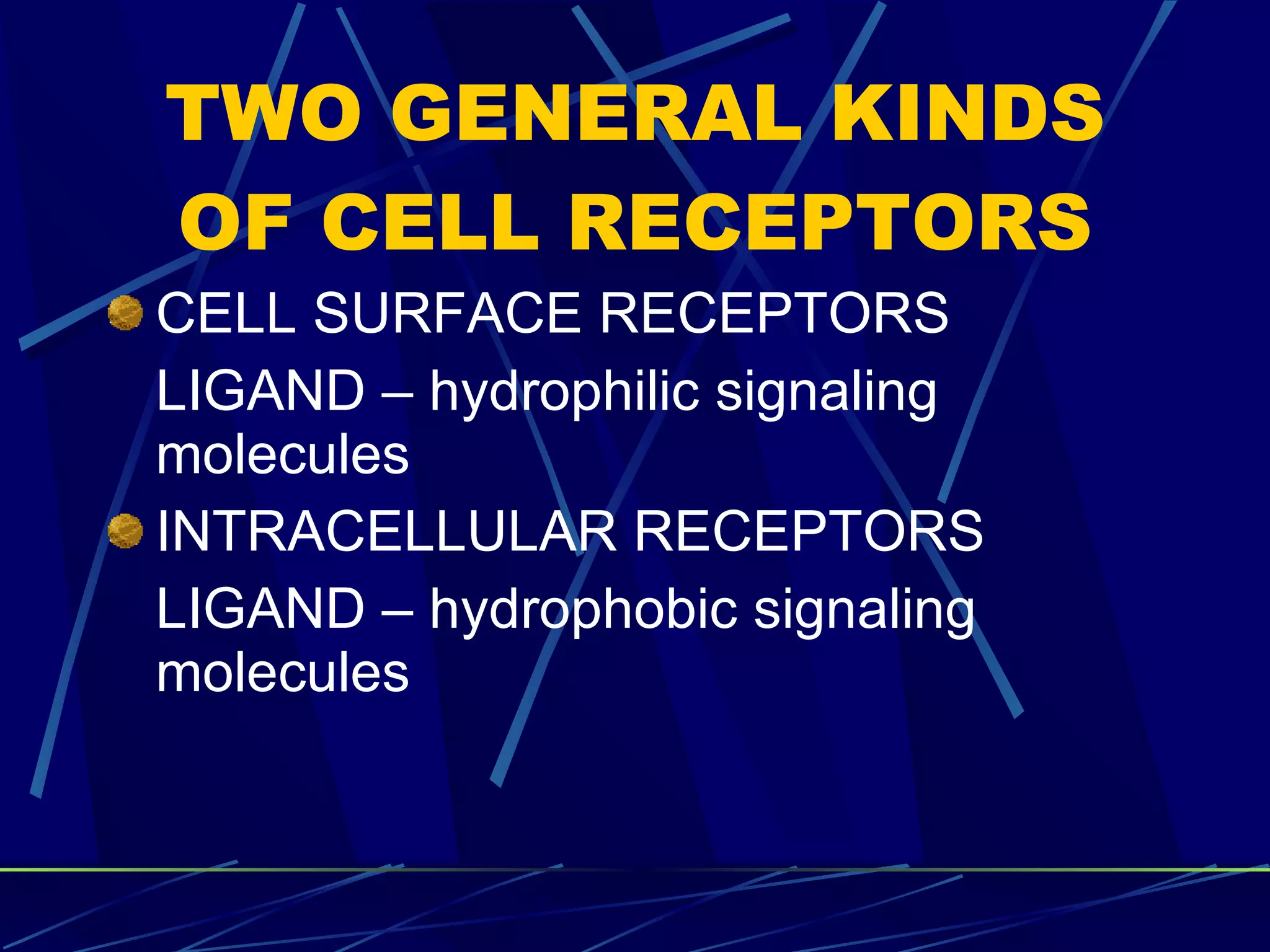 TWO GENERAL KINDS OF CELL RECEPTORS CELL SURFACE RECEPTORS LIGAND – hydrophilic signaling molecules INTRACELLULAR RECEPTORS LIGAND – hydrophobic signaling molecules 