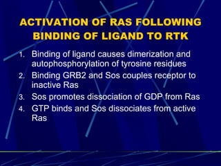 Signal Transduction Revised | PPT