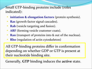 Signal trasduction | PPT