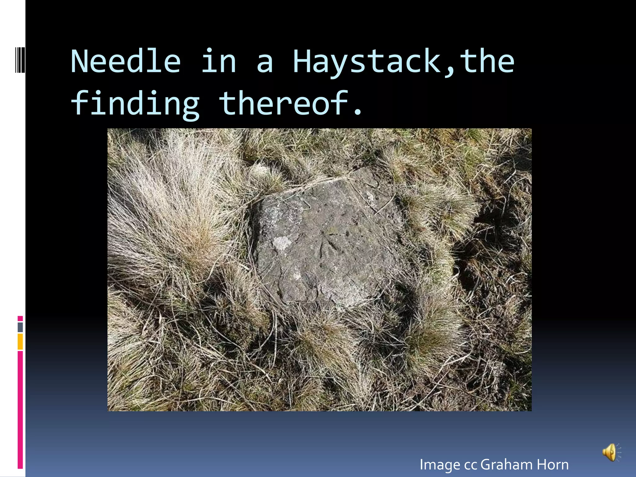 Needle in a Haystack,the finding thereof.Image cc Graham Horn