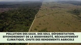 POLLUTION DES EAUX, DES SOLS, DÉFORESTATION,
EFFONDREMENT DE LA BIODIVERSITÉ, RÉCHAUFFEMENT
CLIMATIQUE, CHUTE DES RENDEMENTS AGRICOLE
 