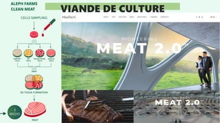 VIANDE DE CULTURE
 