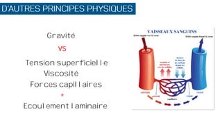 Gravité
VS
Tension superficielle
Viscosité
Forces capillaires
Ecoulement laminaire
+
 
