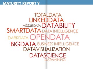 MATURITY REPORT ?
DARKDATA
DATAMINING
DATABILITY
BUSINESS INTELLIGENCE
DATA INTELLIGENCE
OPENDATA
MIDDLE DATA
BIGDATA
SMARTDATA
TOTALDATA
DATAVISUALIZATION
DATASCIENCE
LINKEDDATA
 