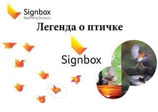 Sign Box Pdf Signbox. Wayfinding Solutions | PDF