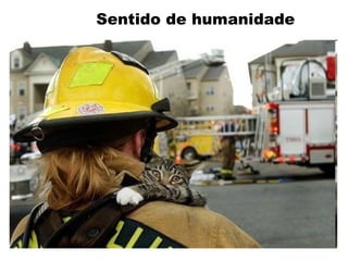 Sentido de humanidade
 