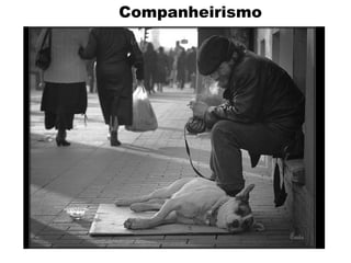 Companheirismo
 