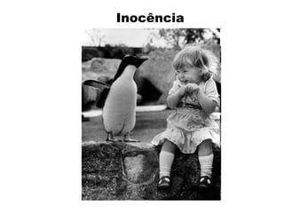 Inocência
 