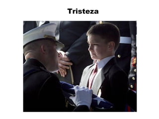 Tristeza
 