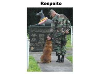 Respeito
 