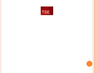 TSE

 
