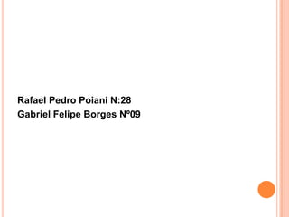 Rafael Pedro Poiani N:28
Gabriel Felipe Borges Nº09

 