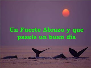 Un Fuerte Abrazo y que paseis un buen día