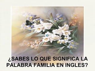 ¿SABES LO QUE SIGNIFICA LA PALABRA FAMILIA EN INGLES?   