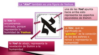 La “Alef” también es una figura de Yeshua.
una de las Yod apunta
hacia arriba esto
representa los aspectos
escondidos de Elohim
La Vav, que su
significado es
“gancho” es la conexión
de las dos esferas o
reinos y representa la
humanidad
la Vav la
encontremos
inclinada, porque
representa la
humildad de Yeshua
la Yod de abajo, representa la
revelación de Elohim a la
humanidad
 