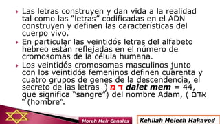  Las letras construyen y dan vida a la realidad
tal como las “letras” codificadas en el ADN
construyen y definen las características del
cuerpo vivo.
 En particular las veintidós letras del alfabeto
hebreo están reflejadas en el número de
cromosomas de la célula humana.
 Los veintidós cromosomas masculinos junto
con los veintidós femeninos definen cuarenta y
cuatro grupos de genes de la descendencia, el
secreto de las letras ‫מ‬ ‫ד‬( dalet mem = 44,
que significa “sangre”) del nombre Adam, ( ‫אדם‬
)“ hombre”.
Kehilah Melech HakavodMoreh Meir Canales
 