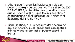  Ahora que Aharon les habia construido un
becerro (buey) de oro cuando Yisrael se QUEJÓ
DE MOISÉS?, entendiéndose que ellos creían
que el Líder era Dios, que Moisés era Dios Y
confundiendo así el liderazgo de Moisés y el
liderazgo del propio YHVH.
 Tiene sentido, que la hechura del becerro de
oro por Aharon, pudo haber sido con sentido
irónico y que ni aún así el pueblo captó la
ironía.
Kehilah Melech HakavodMoreh Meir Canales
 