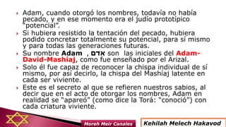  Adam, cuando otorgó los nombres, todavía no había
pecado, y en ese momento era el judío prototípico
“potencial”.
 Si hubiera resistido la tentación del pecado, hubiera
podido concretar totalmente su potencial, para sí mismo
y para todas las generaciones futuras.
 Su nombre Adam ‫אדם‬, son las iniciales del Adam-
David-Mashíaj, como fue enseñado por el Arizal.
 Solo él fue capaz de reconocer la chispa individual de sí
mismo, por así decirlo, la chispa del Mashíaj latente en
cada ser viviente.
 Este es el secreto al que se refieren nuestros sabios, al
decir que en el acto de otorgar los nombres, Adam en
realidad se “apareó” (como dice la Torá: “conoció”) con
cada criatura viviente.
Kehilah Melech HakavodMoreh Meir Canales
 