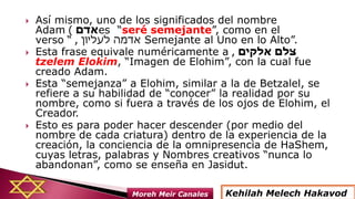  Así mismo, uno de los significados del nombre
Adam ‫אדם‬) es “seré semejante”, como en el
verso ‫לעליון‬ ‫אדמה‬,“ Semejante al Uno en lo Alto”.
 Esta frase equivale numéricamente a ‫אלקים‬ ‫צלם‬,
tzelem Elokim, “Imagen de Elohim”, con la cual fue
creado Adam.
 Esta “semejanza” a Elohim, similar a la de Betzalel, se
refiere a su habilidad de “conocer” la realidad por su
nombre, como si fuera a través de los ojos de Elohim, el
Creador.
 Esto es para poder hacer descender (por medio del
nombre de cada criatura) dentro de la experiencia de la
creación, la conciencia de la omnipresencia de HaShem,
cuyas letras, palabras y Nombres creativos “nunca lo
abandonan”, como se enseña en Jasidut.
Kehilah Melech HakavodMoreh Meir Canales
 