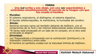  FORMA
 Una iud arriba y una abajo, con una vav separándolas y
uniéndolas simultáneamente. El secreto de la imagen con que
fue creado el hombre.
 Mundos:
 El sistema respiratorio, el diafragma, el sistema digestivo.
 El líquido cefalorraquídeo, la membrana, la humedad del cerebro.
 Almas:
 Sentirse cercano como así también distante de HaShem, con el
compromiso de la Torá y las mitzvot balanceando estas emociones.
 "El llanto está enclavado en un lado de mi corazón, en el otro está
enclavada la alegría".
 Divinidad:
 Luz Trascendente e Inmanente con la contracción (tzimtzum) y la
impresión (reshimu) entre ellas.
 El hombre en perfecta unidad con la Voluntad Infinita de HaShem.
Kehilah Melech HakavodMoreh Meir Canales
 