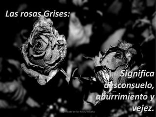 Significado de las rosas