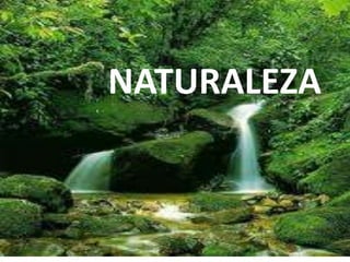NATURALEZA
 