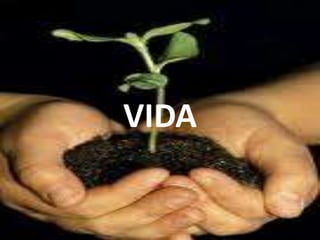 VIDA
 