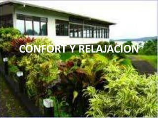 CONFORT Y RELAJACION
 