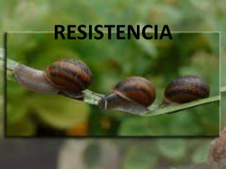 RESISTENCIA
 