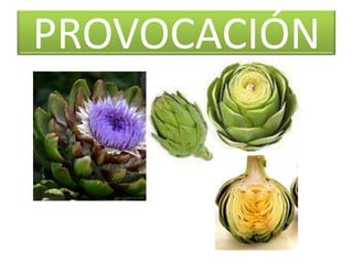 PROVOCACIÓN
 