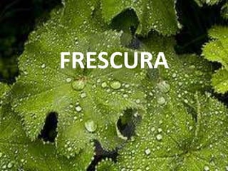 FRESCURA
 