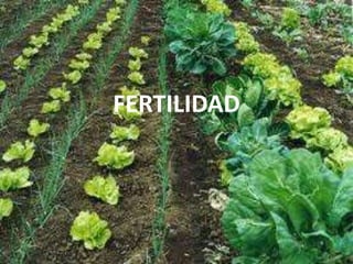 FERTILIDAD
 