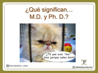 ¿Qué significan…
M.D. y Ph. D.?
PROFEDELETRAS.ES
Foto Carolina L. Llano
 