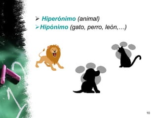 Hiperónimo   (animal) Hipónimo   (gato, perro, león,…) 