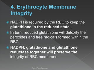 Significance of HMP Pathway | PPTX