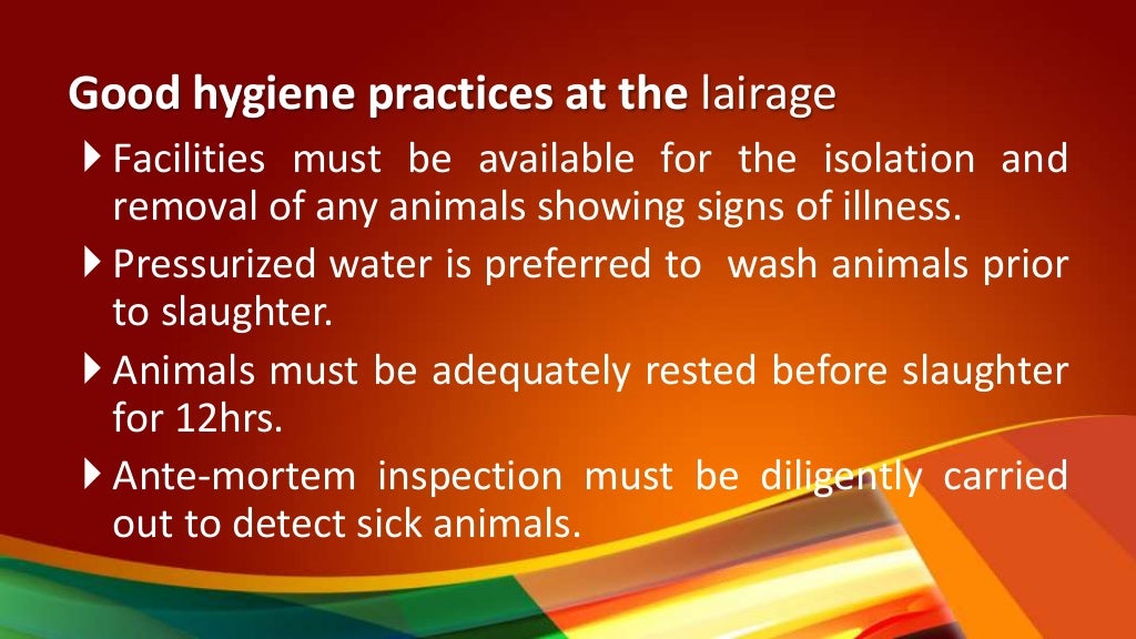 Significance of hygiene meat for public health