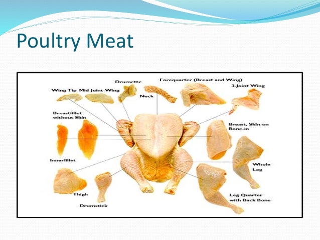 whole chicken parts diagram diagram of a chicken tender pictures to pin on whole chicken parts diagram diagram of a chicken tender pictures to pin on